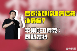 城阳城阳的要账公司在催收过程中的策略和技巧有哪些？