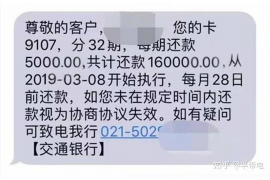 城阳为什么选择专业追讨公司来处理您的债务纠纷？